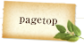 pagetop